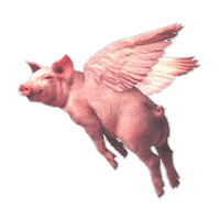 When-Pigs-Fly.gif
