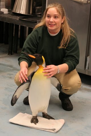 Life With The Depews Ryan And Connor S 3rd Birthday Party At The Moody Gardens Aquarium
