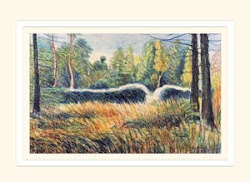 Curiously shaped Tree in Poole Wood greeting card