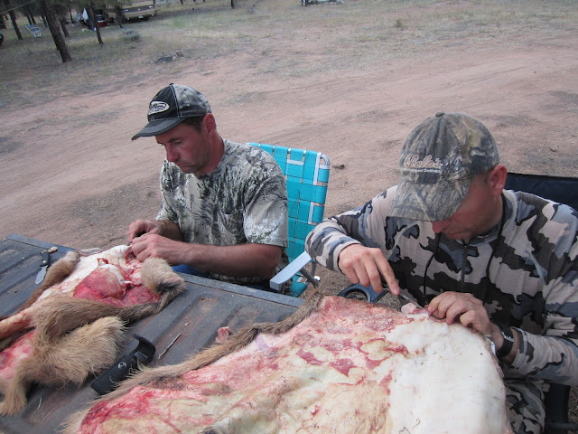 Elk+Hunting+in+Arizona+with+Colburn+and+Scott+Outfitters+2.JPG