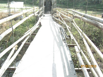 Condition of Village Bridge