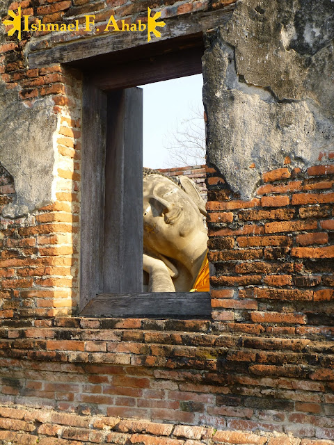 Buddha peeking in Ayutthaya Historical Park