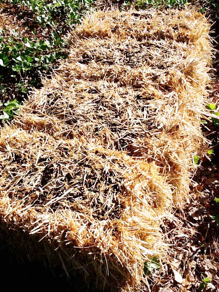 Everyday Finesse Starting my organic straw bales