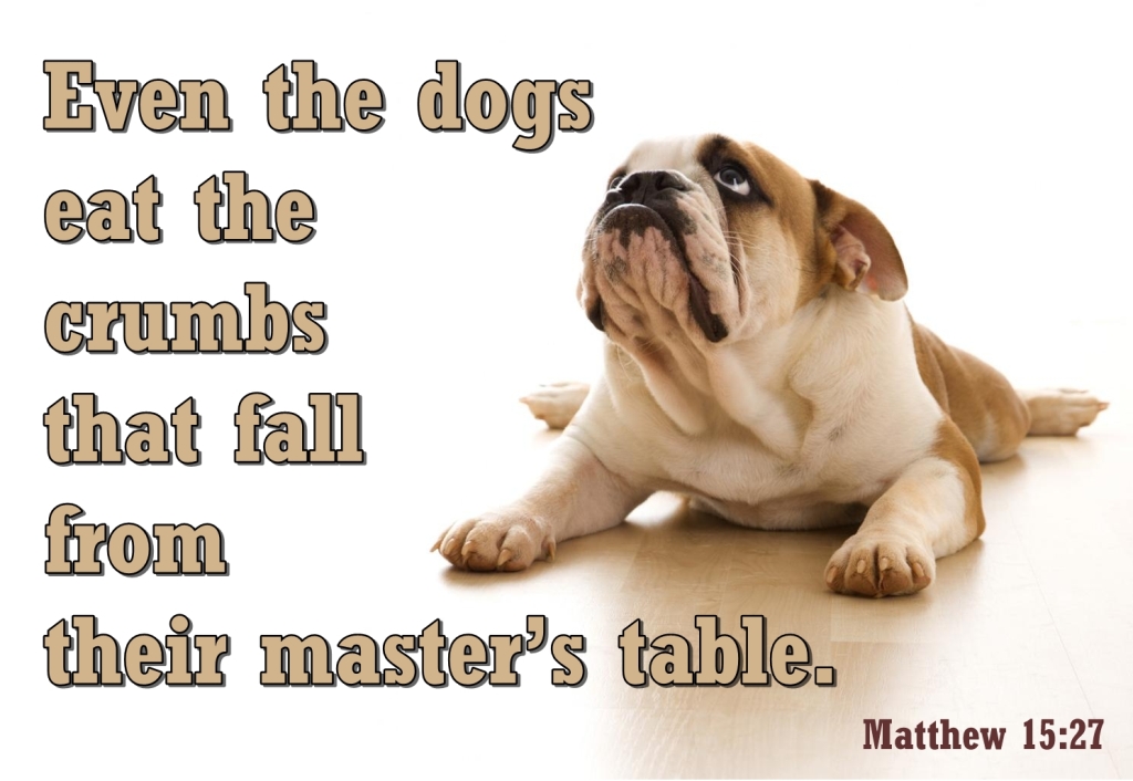 His Word in Pictures Matthew 1527