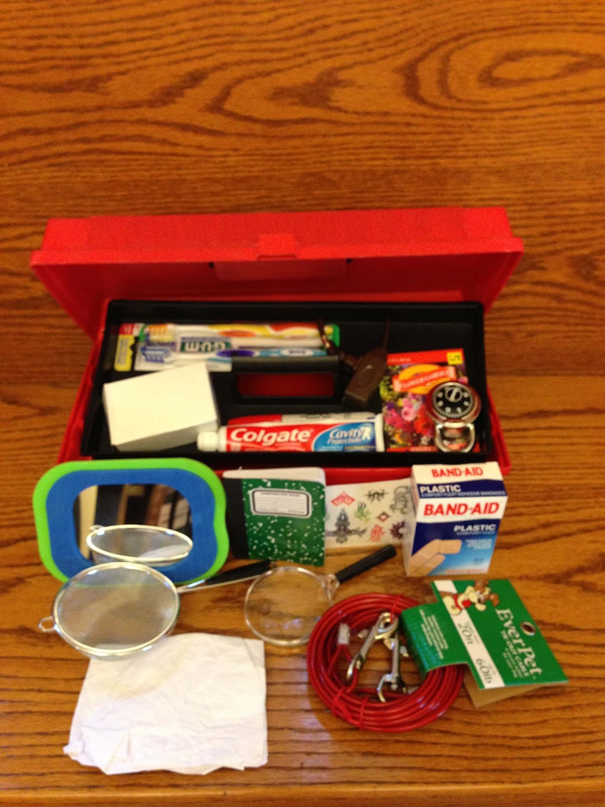 The "New and Improved" Digital Citizenship Survival Kit A Teacher