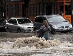 acqua e cellulari