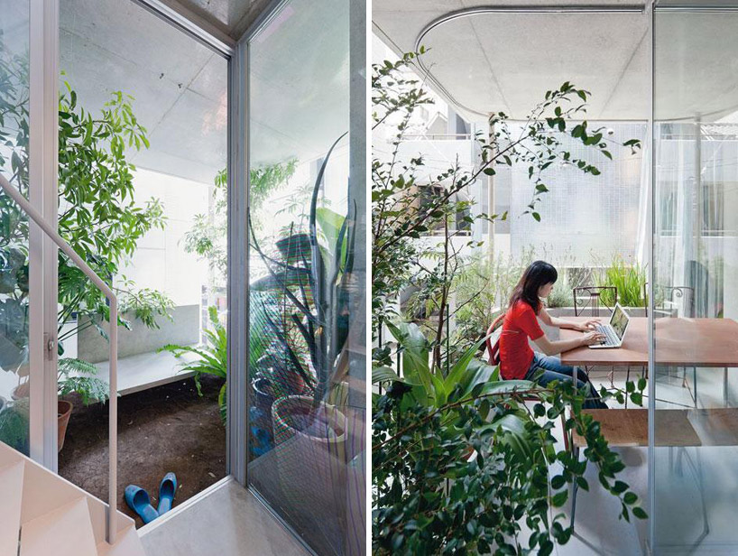Living in DesignLand: ARQUITECTURA: GARDEN & HOUSE, JARDÍN VERTICAL