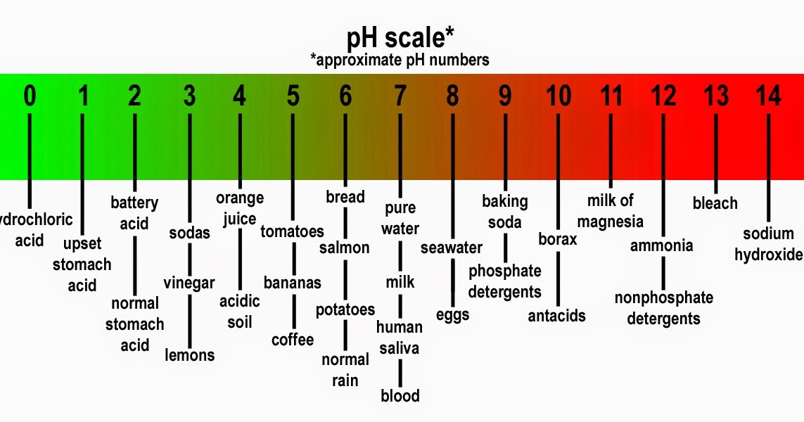 Alaiyna B. Bath and Body pH testing of liquid soap and lowering pH
