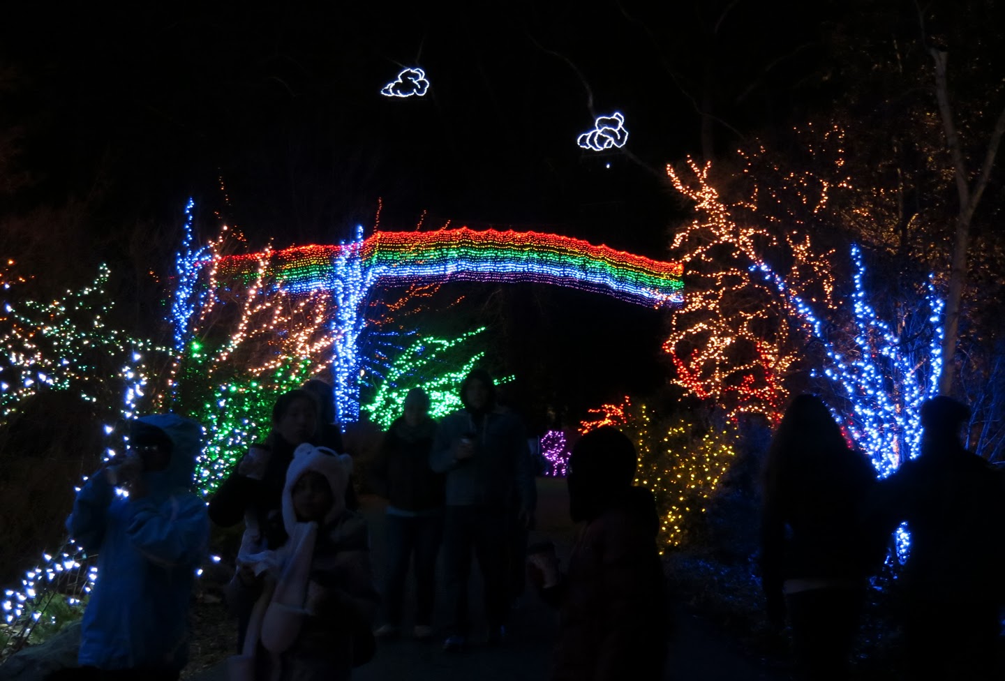 Lucent Moments: Brookside Gardens Christmas Lights 2013