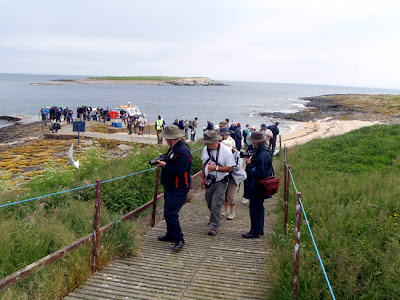How Long Boat Trip To Farne Islands How Long Boat Trip To Farne Islands