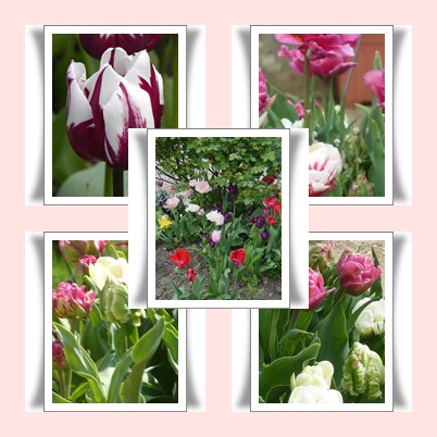 a la rencontre du printemps careme