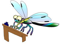 Dragonflies+cartoon