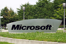 Microsoft Acquisition of Social Networking Yammer