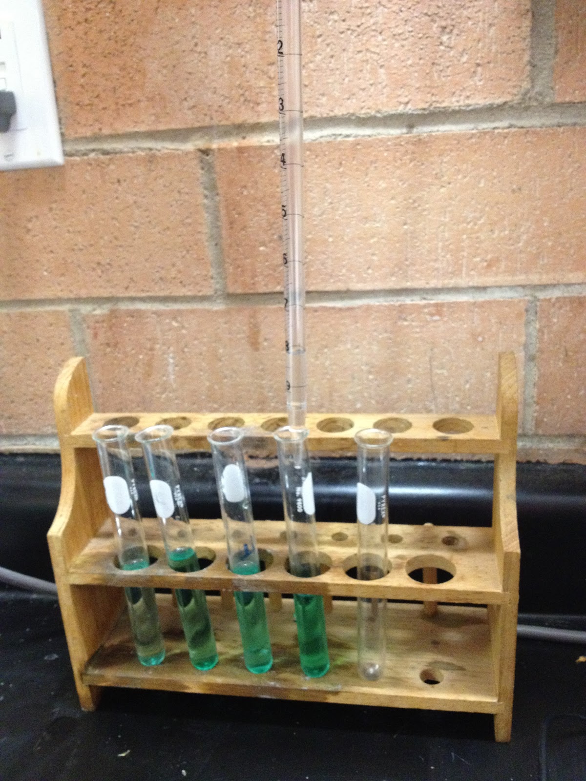 5th Hour Chemistry Cat Beer's Law Lab, but It Isn't About Beer, Just