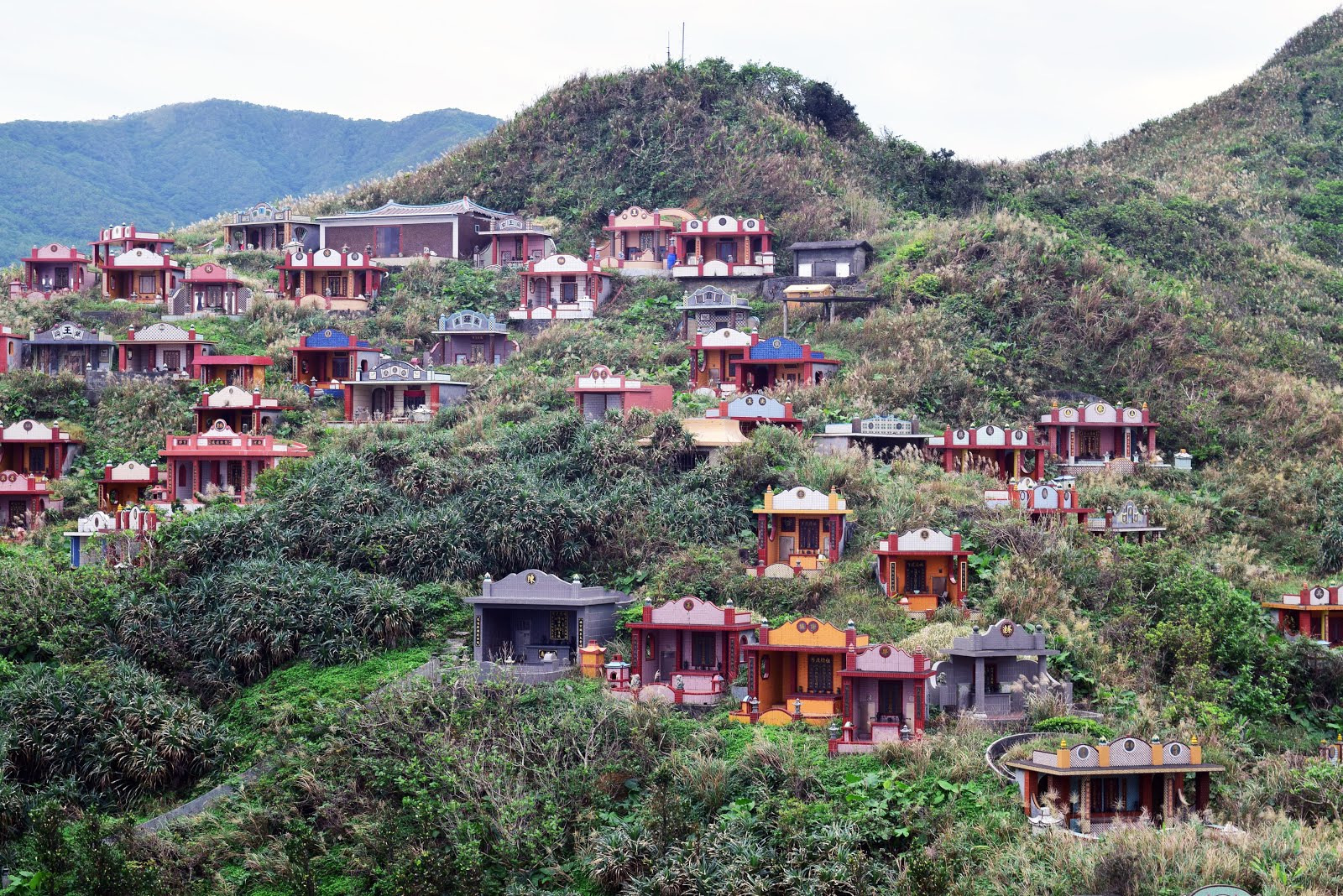 Kidd in Asia Tomb Sweeping Day Qingming Festival