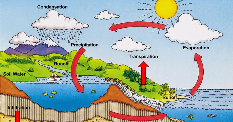 Serenity Valley Academy Browncoats: Ecology: The Water Cycle explain water cycle with diagram 