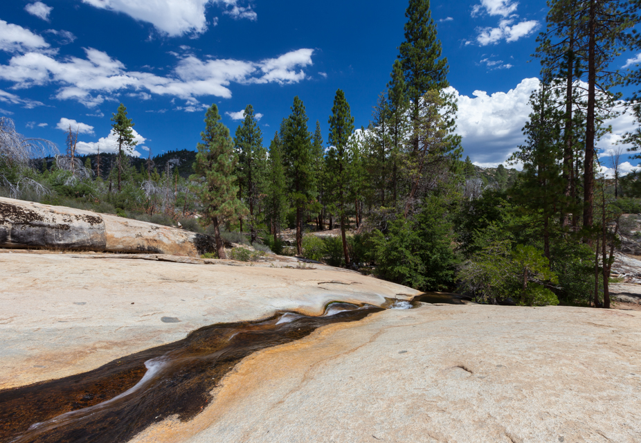 Swimming Holes of California Alder Slabs, Sequoia National Park