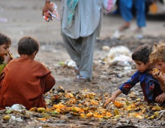 Overpopulation in pakistan essay