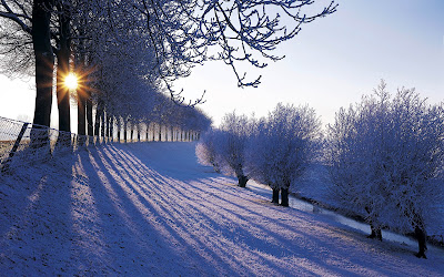 Snow in Netherland - Holland