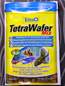Choose The Right Aquarium Fish Food: Tetra