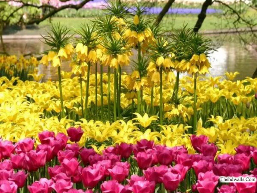 Beißen Gedanken: Spring-Wallpapers