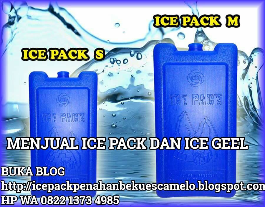 ICE PACK MENHAN BEKU ES CAMELO DALAM BOK TERMOS  BEKU 10 JAM  SILAKAN PESAN
