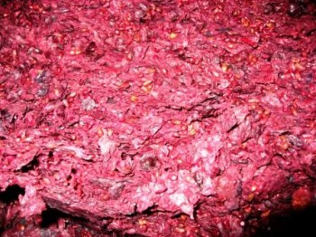 Meat Preservation