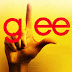 Glee: Ame ou Odeie