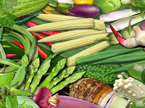 Khmer Vegetable: Cambodia Vegetable in Paint