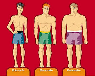 [Imagem: mesomorfo_ectomorfo_endomorfo.jpg]