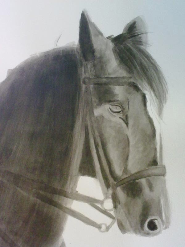 copia de una foto de un caballo con tinta china