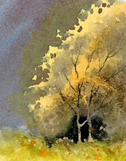 autumn trees