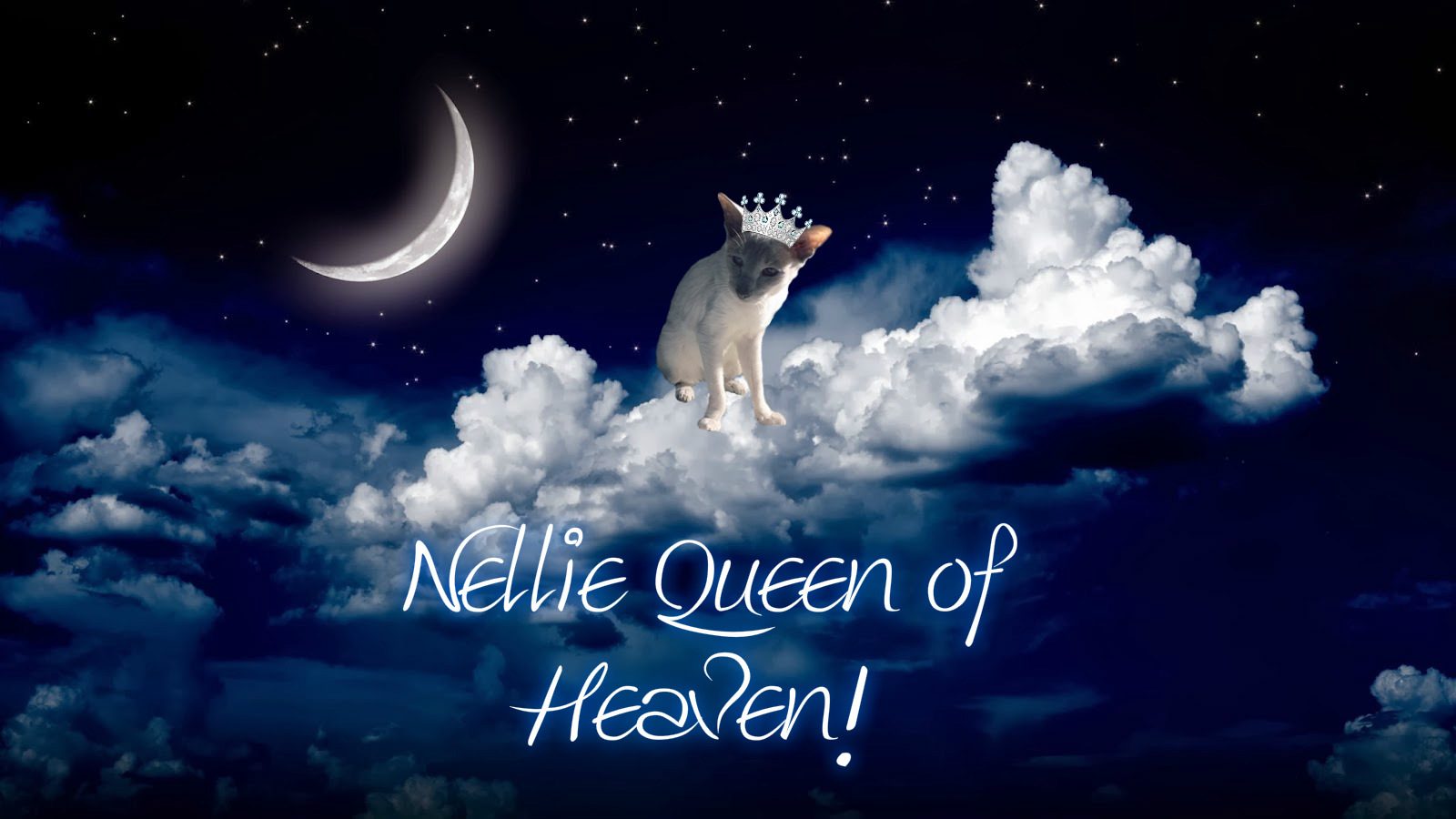 Nellie Queen of Heaven