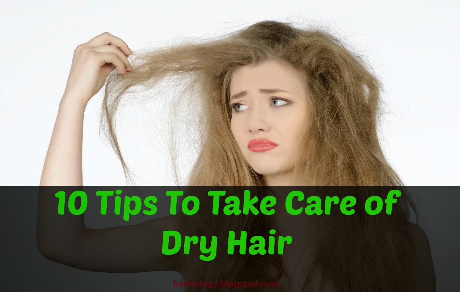BestiOlogy: Tips to Take Care of Dry Hair