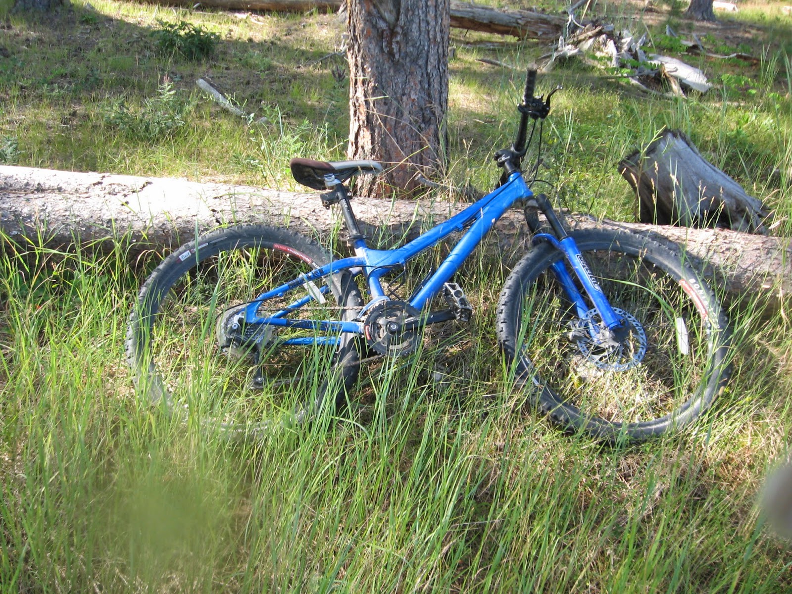 gary fisher mullet 2006