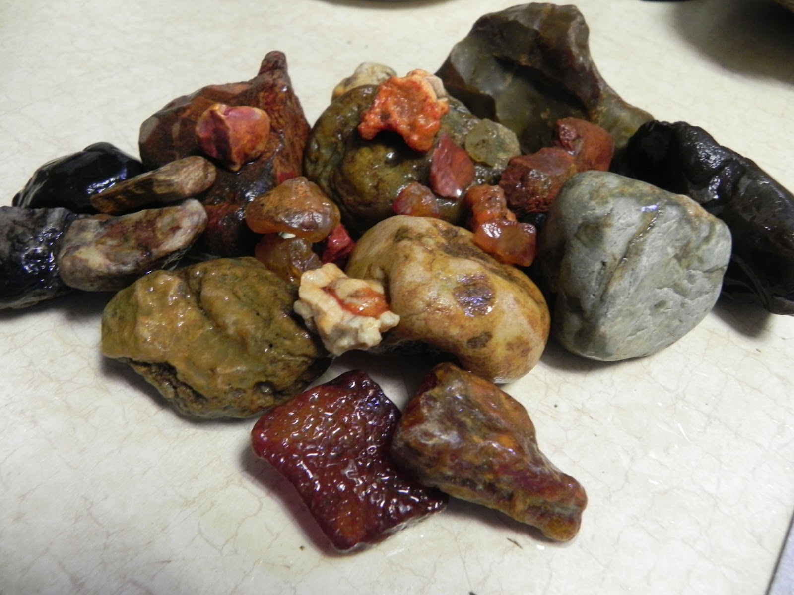 Northwest and Southwest Rockhounding Salmon Creek Agates and Carnelian