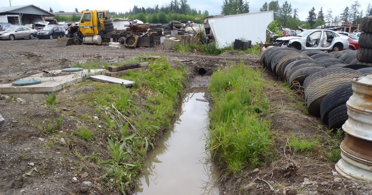 North Sound Baykeeper Gundie’s Auto Recyclers Stormwater Heroes!