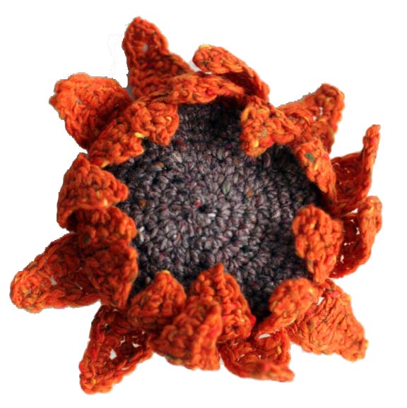 Getting Stitched on the Farm Mammoth Sunflowers and Tahki Donegal