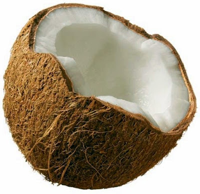 manfaat buah kelapa