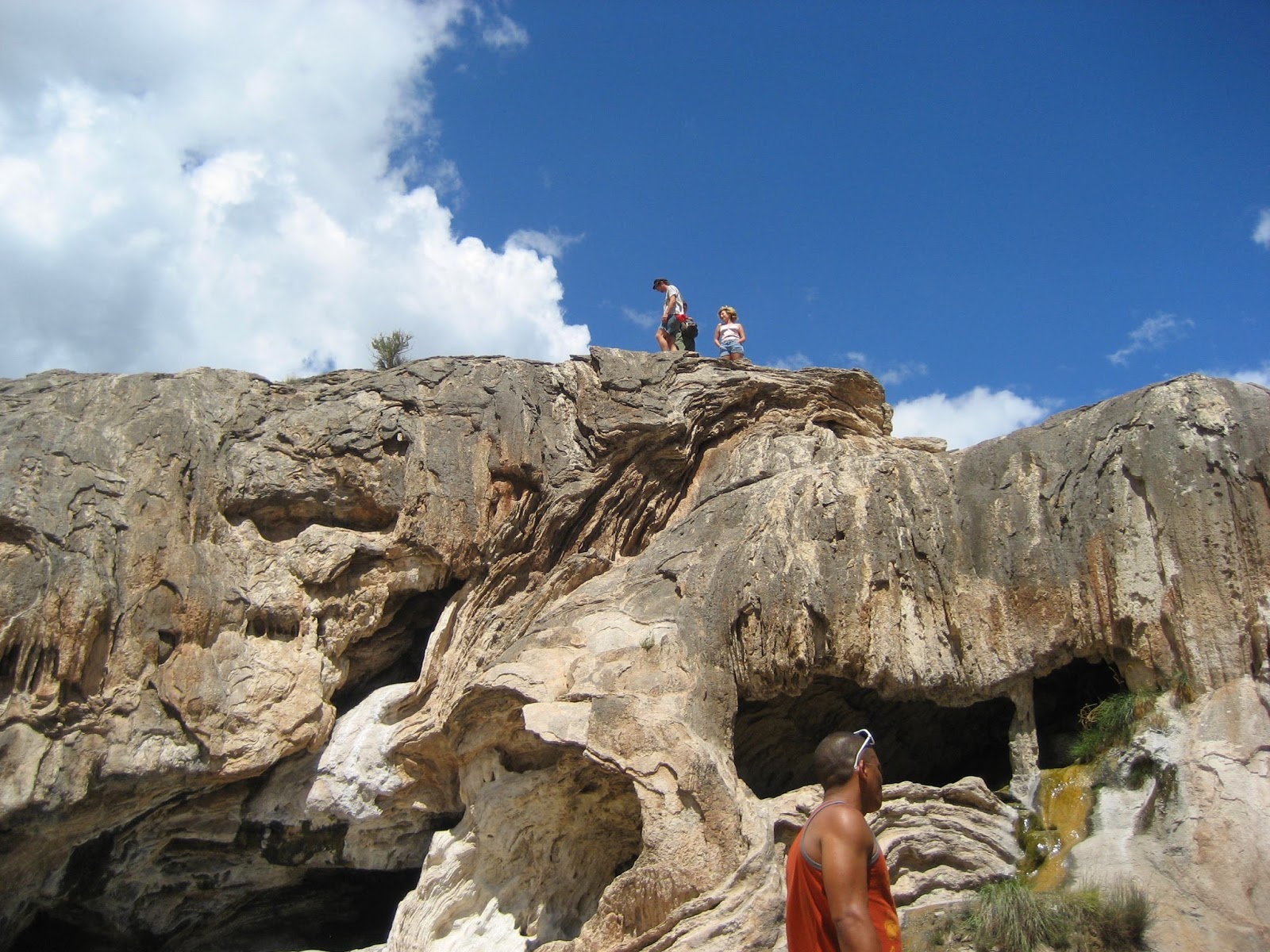 Living Rootless Fenton Lake State Park, New Mexico