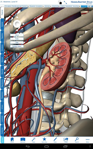 human anatomy atlas v2.5.2 human anatomy atlas v2.5.2