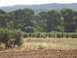 Entorno de Arroyo del OJanco