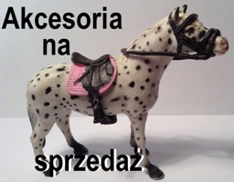 Akcesoria na sprzedaż