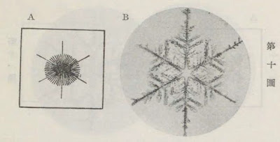 『雪華図説』の研究 模写図と顕微鏡写真と比較 第十図 『雪華図説』の研究 模写図と顕微鏡写真と比較 第十図