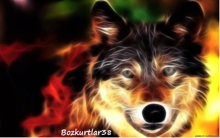bozkurtlar blogger