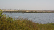 Bolsa Chica. Bolsa Chica Wetlands (yeeaaaaaaaaah )