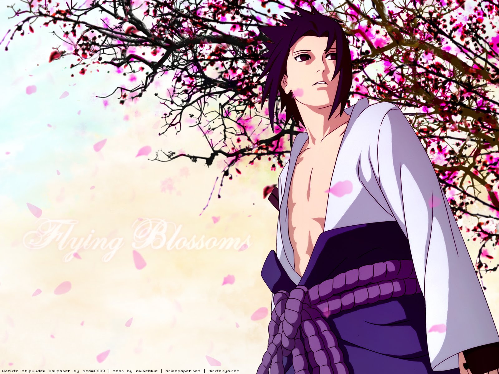 http://1.bp.blogspot.com/-O2P7Z1u0zjE/TWMdsoJZhaI/AAAAAAAABN0/XGu8jfcL7W0/s1600/naruto-shippuden-wallpapers-407.jpg