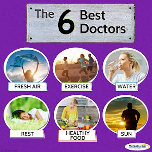 THE 6 BEST DOCTORS