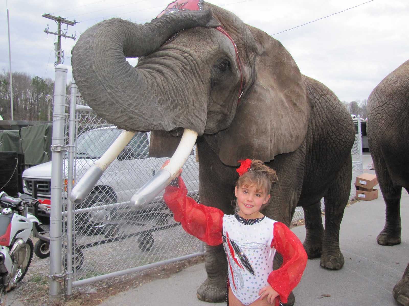 The Circus "NO SPIN ZONE": Circus Pages--Cleveland, Tenn 2-22-11