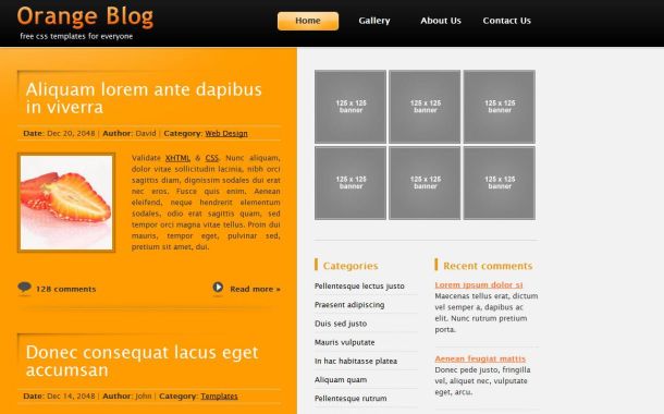 Free Black Orange CSS HTML Website Template Free Black Orange CSS HTML Website Template